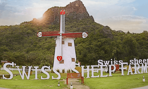 สวิสชิฟฟาร์ม Swiss Sheep Farm